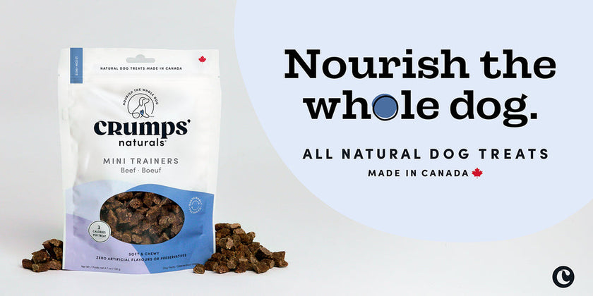 Crumps - Mini Trainers - Soft & Chewy Beef Bites (300g)