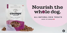 Crumps - Mini Trainers - Soft & Chewy Lamb Bites(300g)