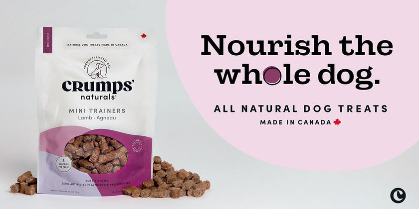 Crumps - Mini Trainers - Soft & Chewy Lamb Bites(300g)