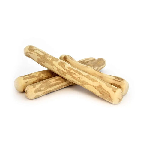 Canophera – Natural Desire To Chew – Dog Chew Stick Made of Olive Tree Wood – X-Small