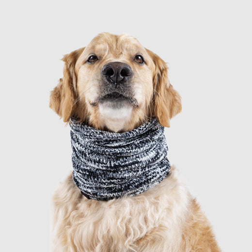 Chenille Dog Snood