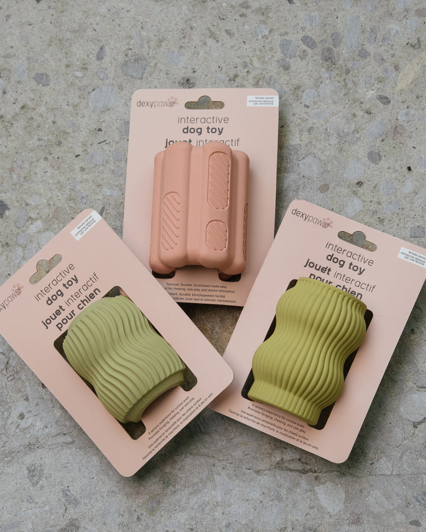 Dexypaws Interactive Aggressive Dog Chew