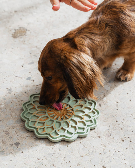 Blossom Flower Enrichment Licking Mat