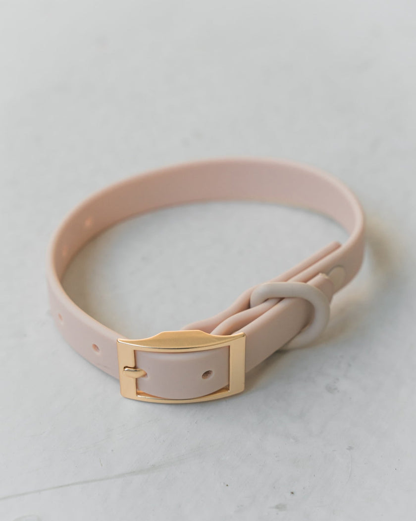 Dexypaws - Waterproof Dog Collar - Nude