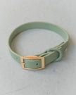 Dexypaws - Waterproof Dog Collar - Sage Green - Large