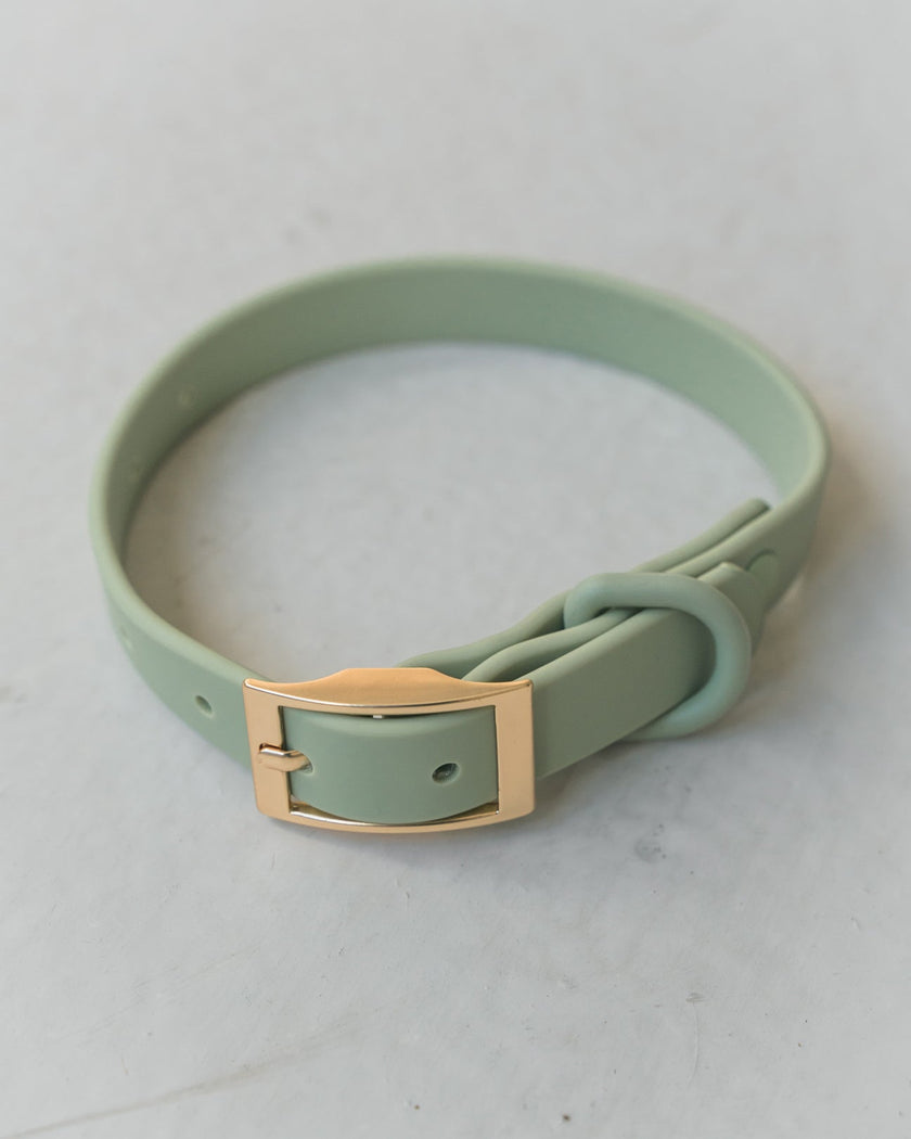 Dexypaws - Waterproof Dog Collar - Sage Green