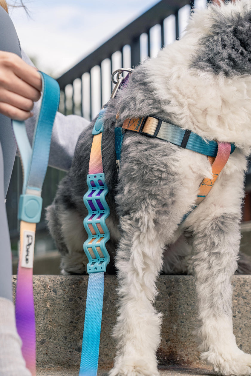 PoPupJoys AURA Dog Harness, Large