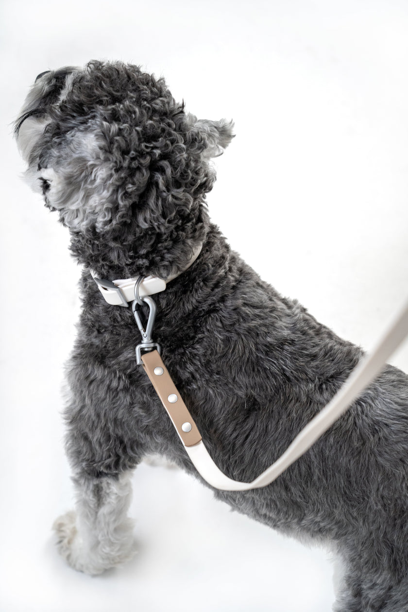 PoPupJoys DUO Lite - Convertible Waterproof Dog Leash - Off-White, Medium