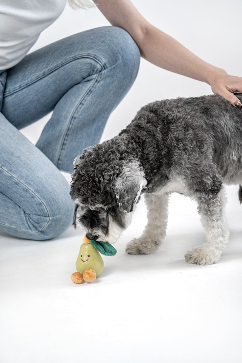 PoPupJoys - Fruity Fun Dog Chew Toy - Pear