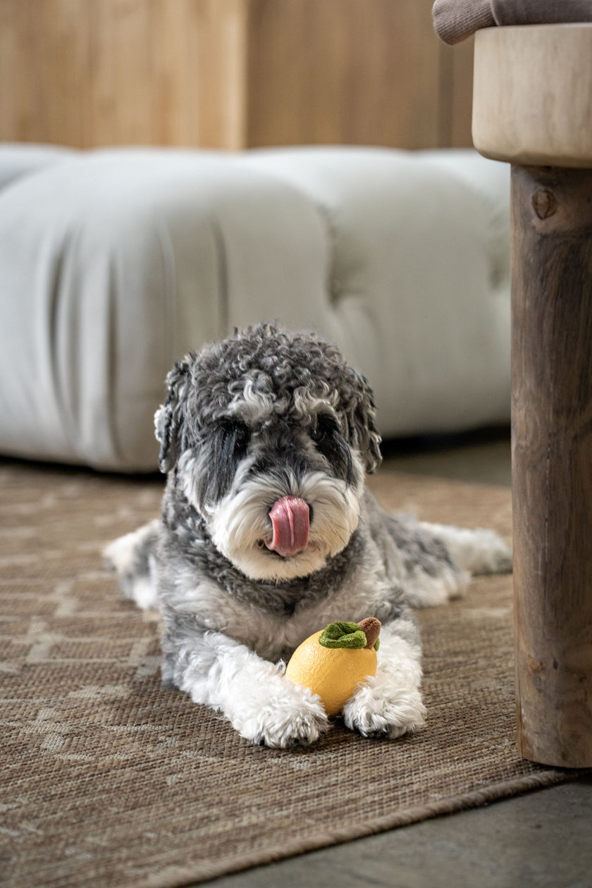 PoPupJoys - Fruity Fun Dog Chew Toy - Lemon