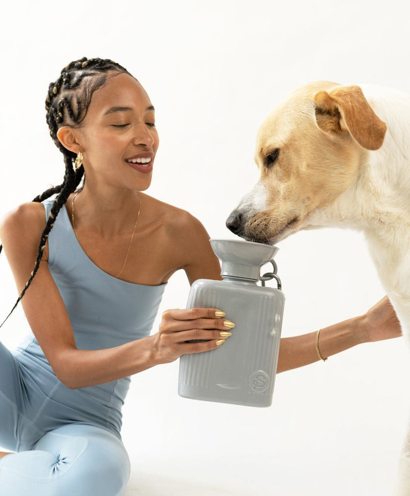 Springer 44oz Growler - Grey Travel Bottle