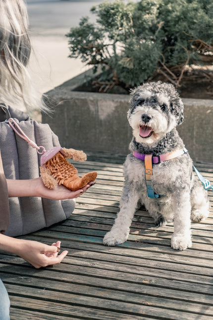 PoPupJoys - CLIK Pup Charm Toy - Blue