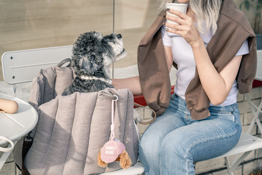 PoPupJoys - CLIK Pup Charm Toy - Pink