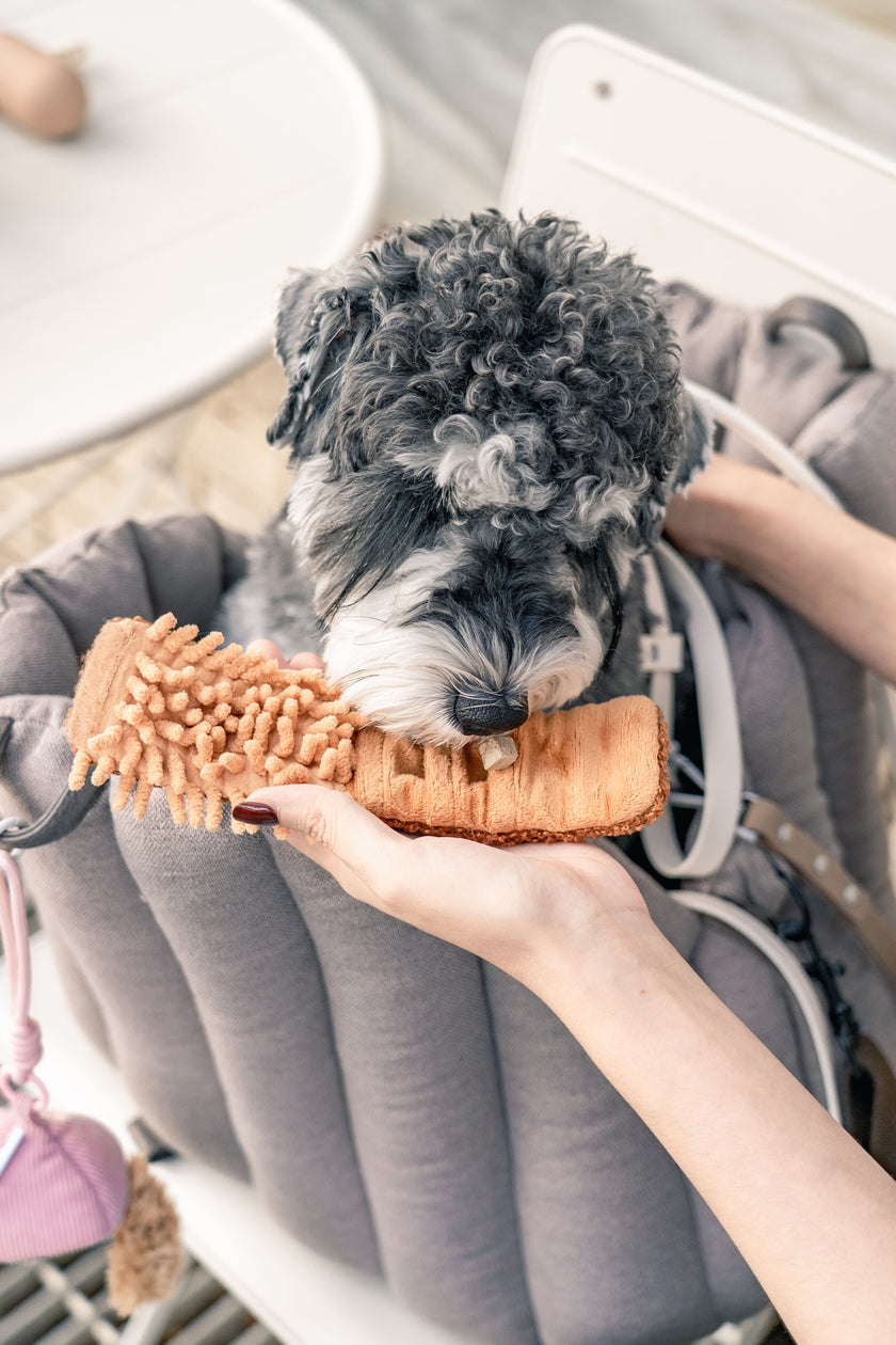 PoPupJoys - CLIK Pup Charm Toy - Pink