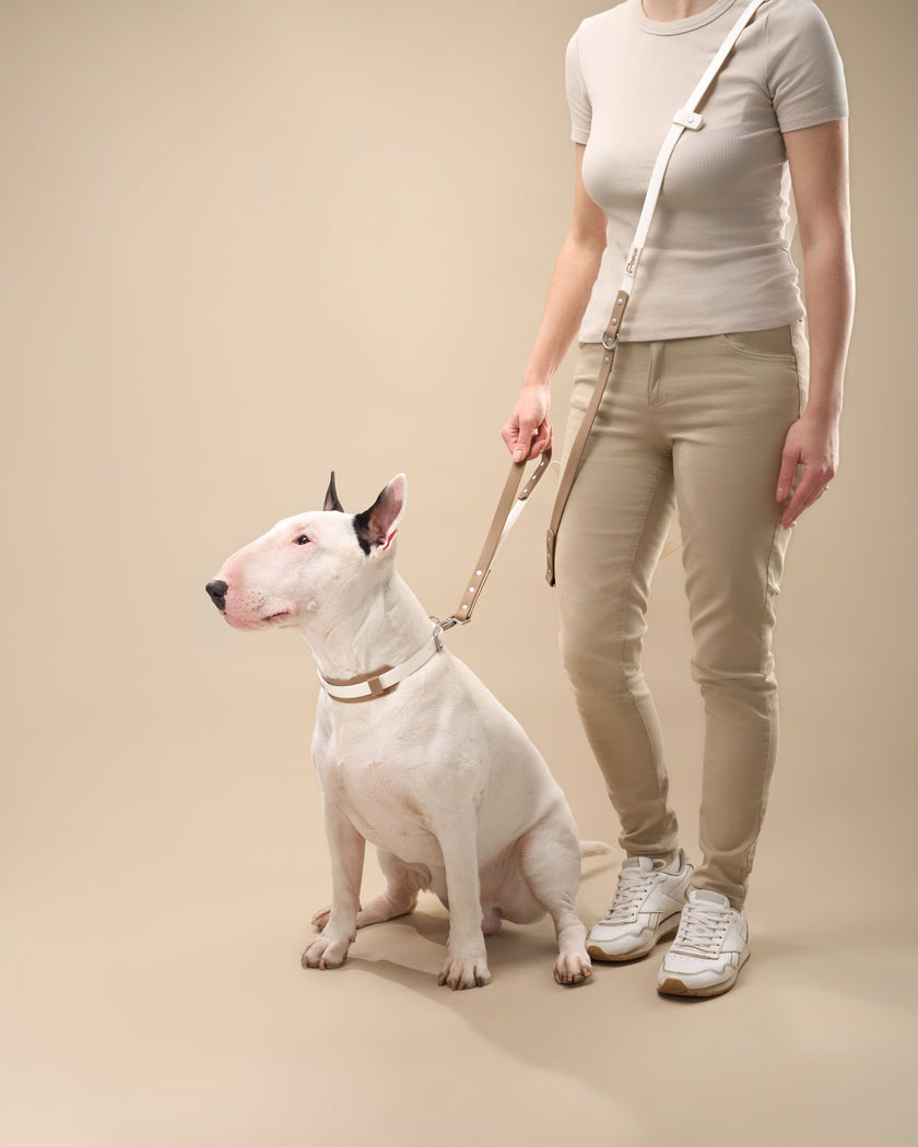 PoPupJoys DUO Premium - Waterproof Dog Collar - Off-White, Large