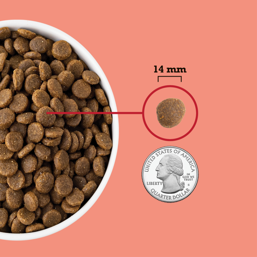 Acana Classics Red Meat Dry Dog Food - Grain Inclusive - Beef, Lamb & Pork Recipe - 21.3lb (9.7kg)