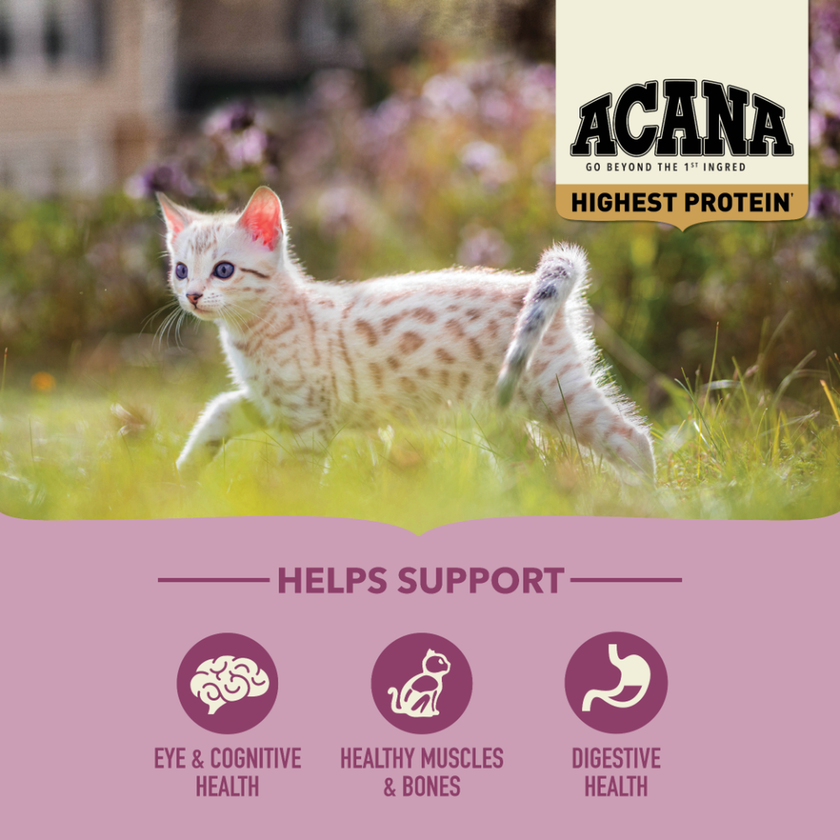 Acana Kitten Highest Protein Dry Cat Food (4lb/1.8kg)