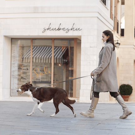 PoPupJoys DUO Premium - Convertible Waterproof Dog Leash - Charcoal, Large