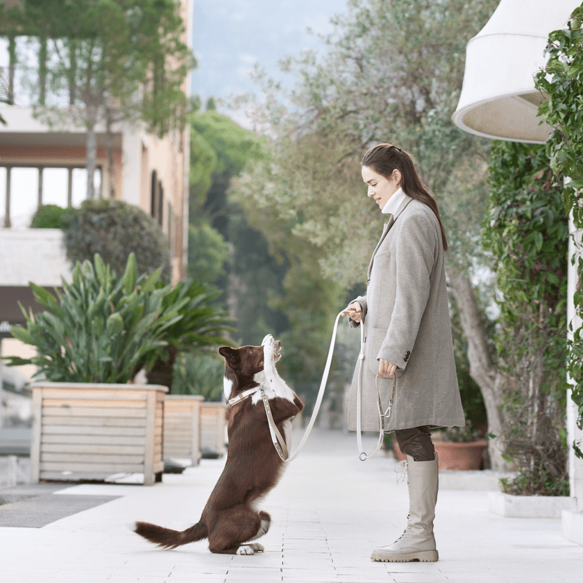 PoPupJoys DUO Premium - Convertible Waterproof Dog Leash - Off-White, Large