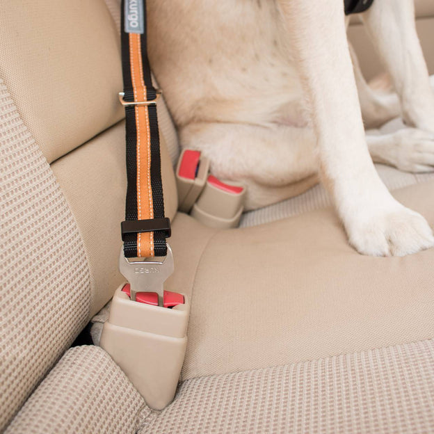 Kurgo Dog Seatbelt Tether With Carabiner Black