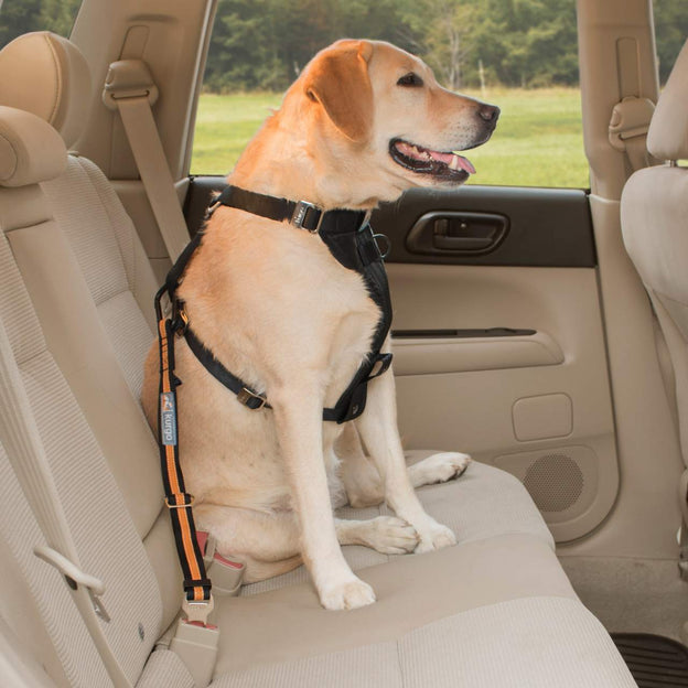 Kurgo Dog Seatbelt Tether With Carabiner Black