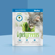 Cat Grass Medley Self-Grow Kit