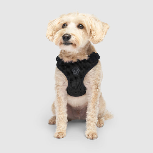 Easy Dog Harness Black