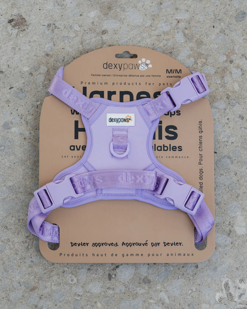 Dexypaws No-Pull Dog Harness - Lilac- Size Large