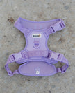 Dexypaws No-Pull Dog Harness - Lilac- Size Large
