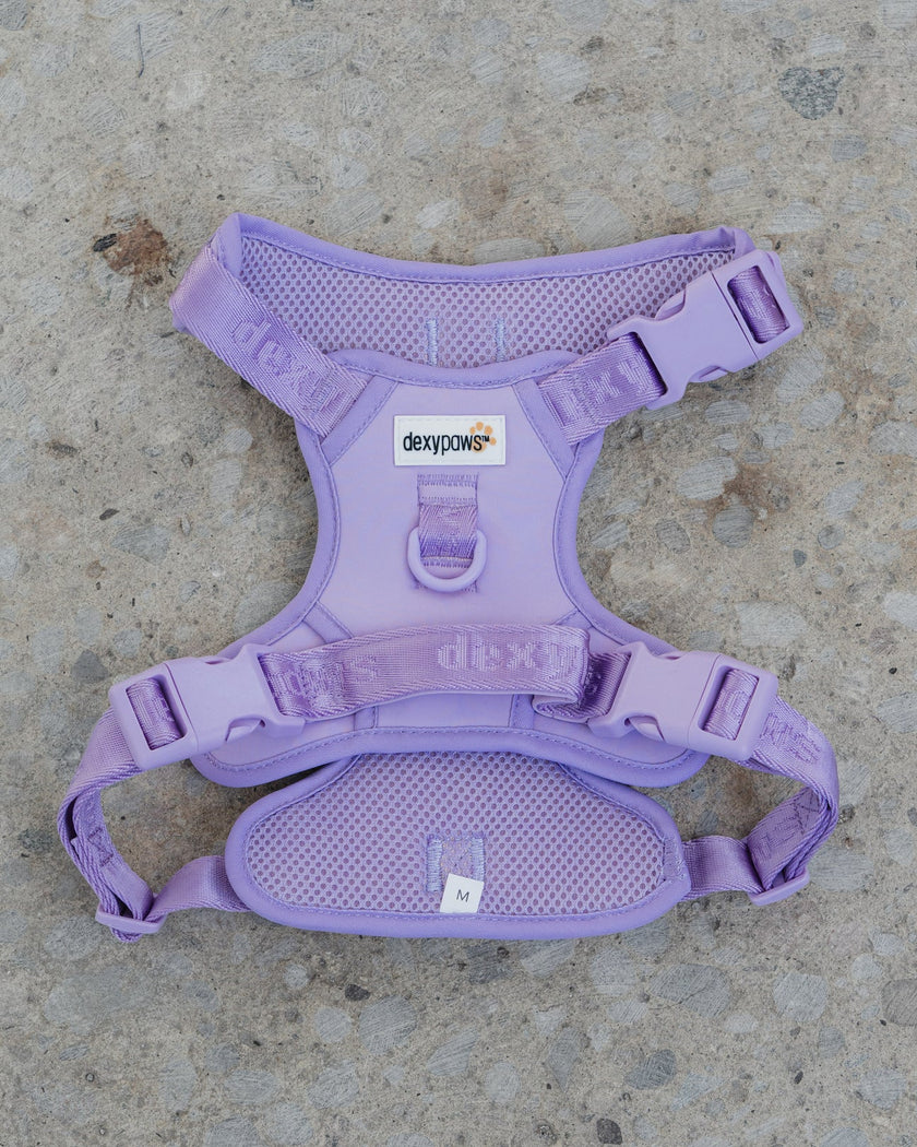 Dexypaws No-Pull Dog Harness - Lilac- Size Large