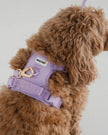 Dexypaws No-Pull Dog Harness - Lilac- Size Large