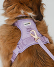 Dexypaws No-Pull Dog Harness - Lilac- Size Large