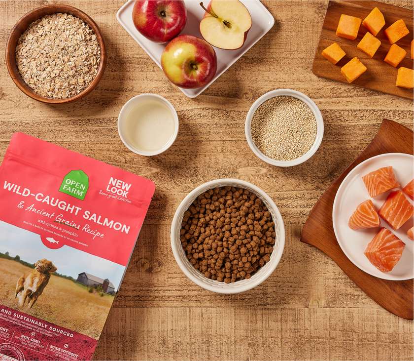 Open Farm Wild-Caught Salmon & Ancient Grains Dry Dog Food (22lb)