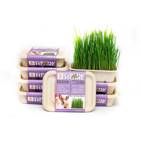 Catnip & Grass