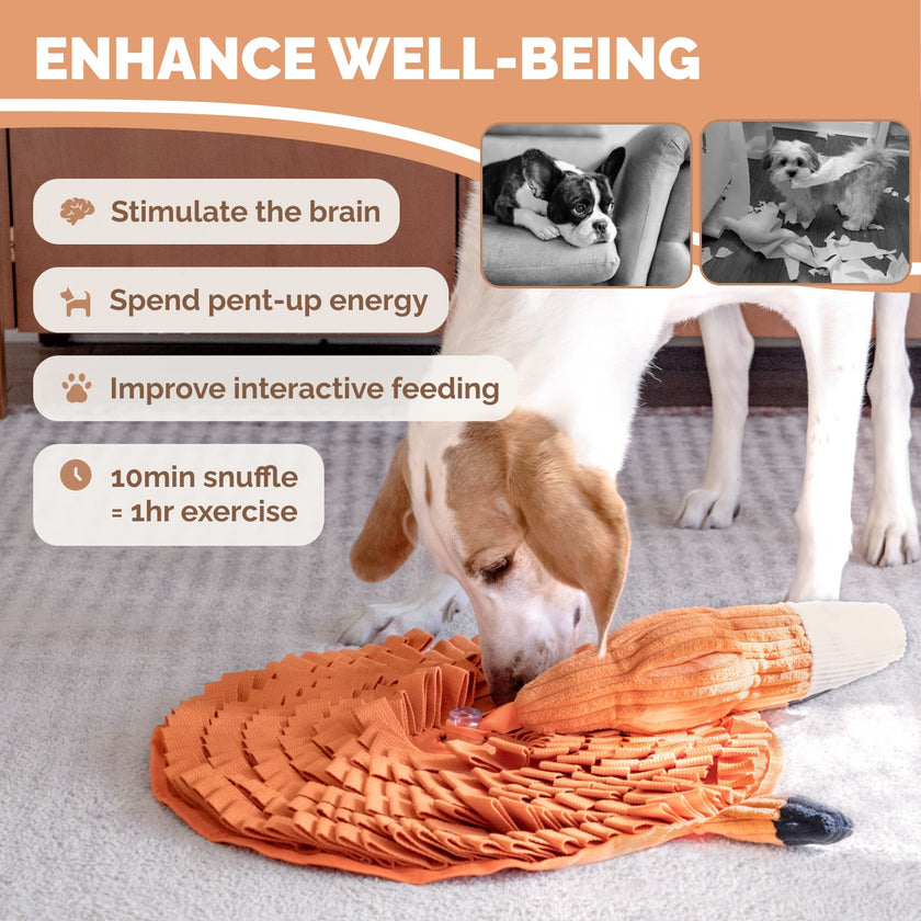 PoPupJoys - Hide & Seek Snuffle Mat + Puzzle Toy - Fox