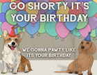 Go Shorty Birthday Card