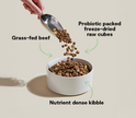 Open Farm GoodGut Grass-Fed Beef Recipe Gut Health Dog Food