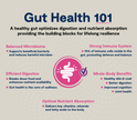 Open Farm GoodGut Grass-Fed Beef Recipe Gut Health Dog Food