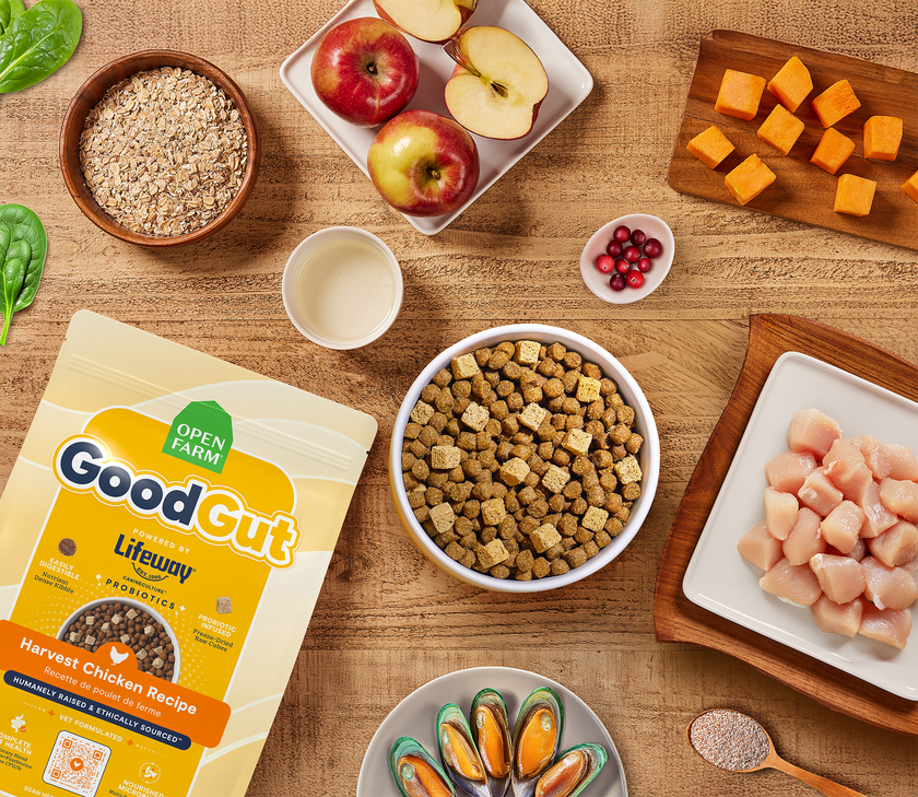 Open Farm GoodGut Harvest Chicken Recipe Gut Health Dog Food