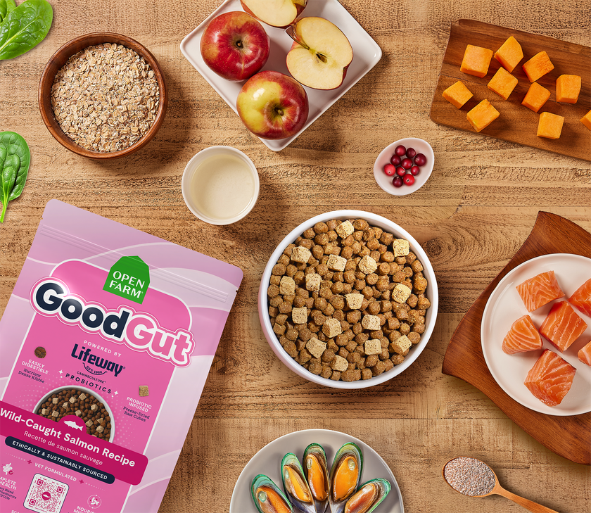 Open Farm GoodGut Wild-Caught Salmon Recipe Gut Health Dog Food