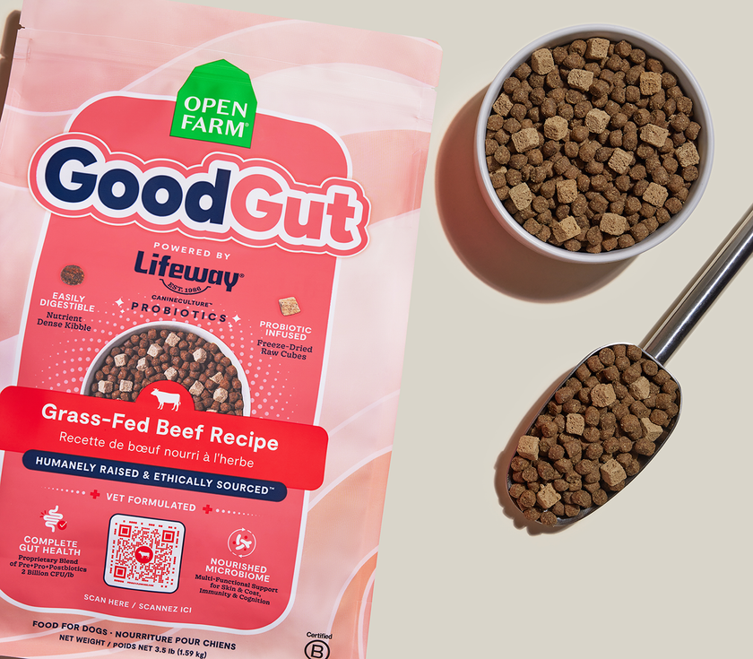 Open Farm GoodGut Grass-Fed Beef Recipe Gut Health Dog Food