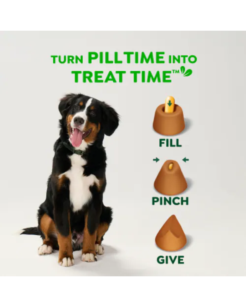 Greenies Pill Pockets Dog Chicken - Capsule Size- 60ct - 15.8oz