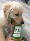 Zippy Paws Happy Hour Crusherz - IPA