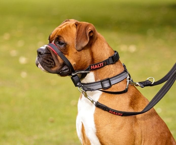 Halti OptiFit Dog Headcollar - Medium