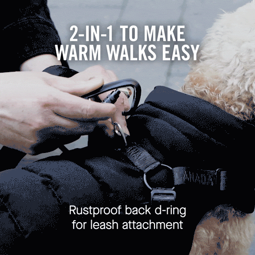 Canada Pooch Harness Puffer Black