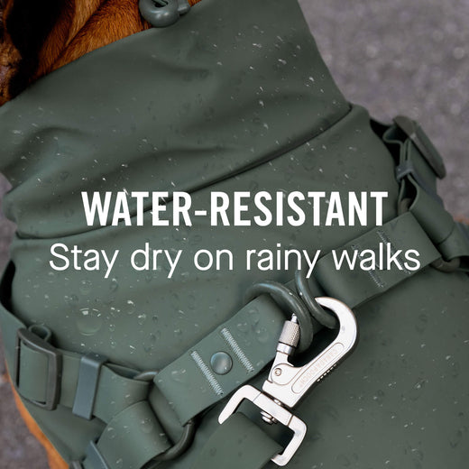 Canada Pooch - Harness Raincoat - Forest Green