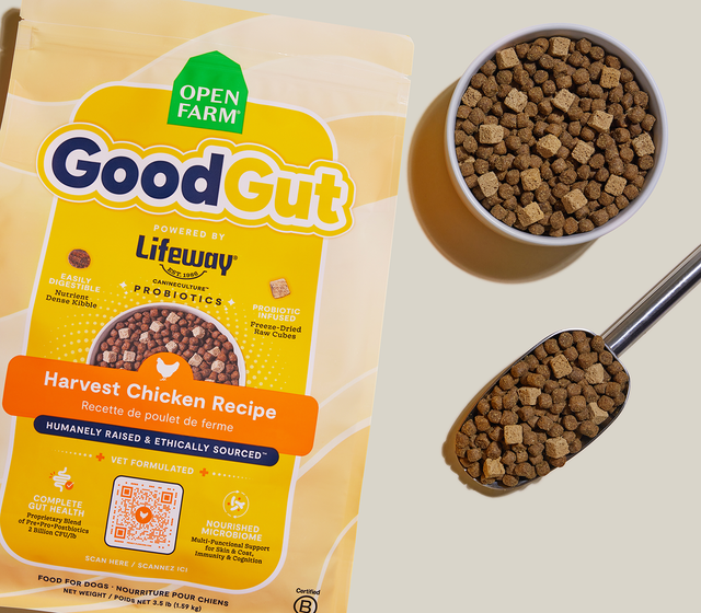 Open Farm GoodGut Harvest Chicken Recipe Gut Health Dog Food