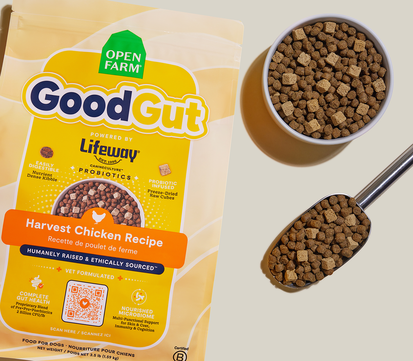 Open Farm GoodGut Harvest Chicken Recipe Gut Health Dog Food