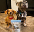 Icelandic+ | Herring Whole Fish For Dogs 3oz