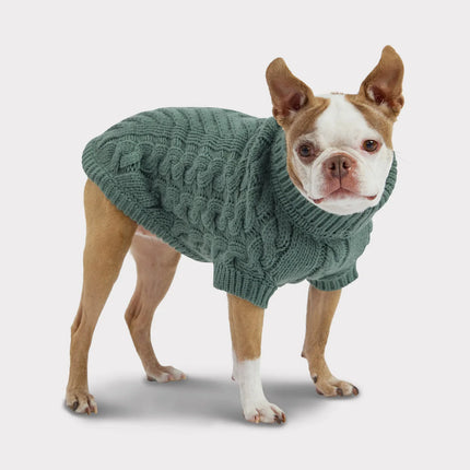 Dog wearing a cozy, chunky cable knit sweater by GF PET® with a high turtleneck and ribbed armholes